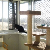 adelaide hills cattery